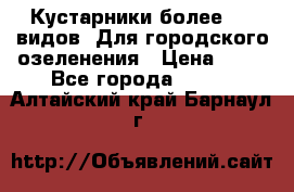 Кустарники более 100 видов. Для городского озеленения › Цена ­ 70 - Все города  »    . Алтайский край,Барнаул г.